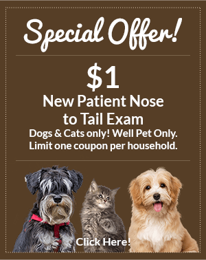 Special Offer! $1 New Patient Nose to Tail Exam. Dogs and Cats only. Well pet only. Limit one coupon per household. Click here!